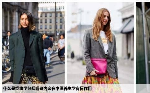 什么是经络学包括哪些内容在中医养生学有何作用