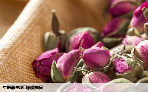 中医养生项目前景如何