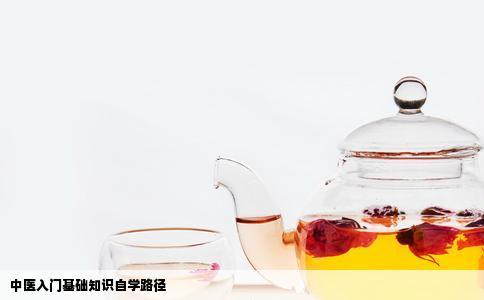 中医入门基础知识自学路径