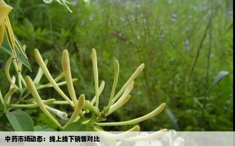 中药市场动态：线上线下销售对比