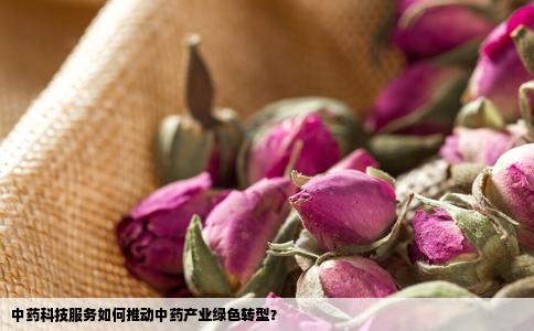 中药科技服务如何推动中药产业绿色转型？