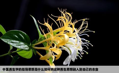 中医养生学的指导思想是什么如何将这种养生思想融入到自己的衣食