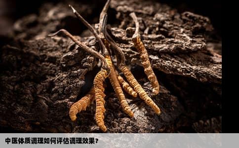 中医体质调理如何评估调理效果？