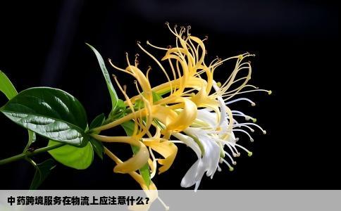 中药跨境服务在物流上应注意什么？