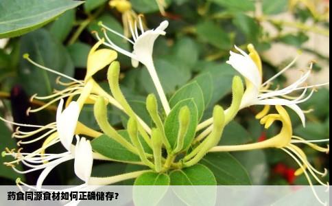 药食同源食材如何正确储存？