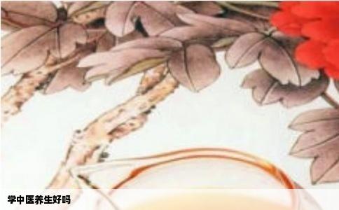 学中医养生好吗