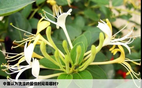 中医认为洗澡的最佳时间是哪时？