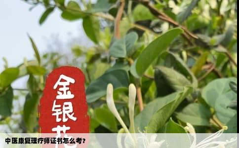 中医康复理疗师证书怎么考？
