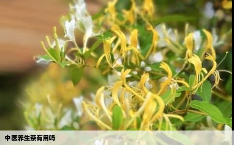 中医养生茶有用吗
