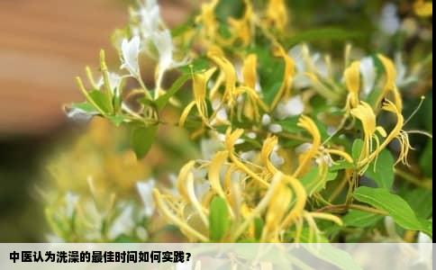 中医认为洗澡的最佳时间如何实践？