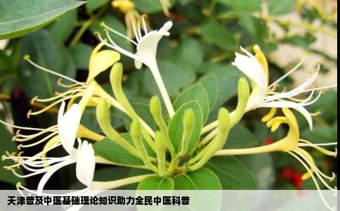 天津普及中医基础理论知识助力全民中医科普