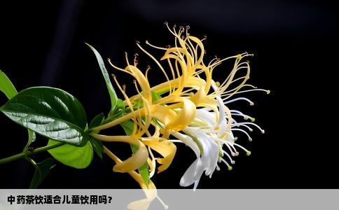 中药茶饮适合儿童饮用吗？