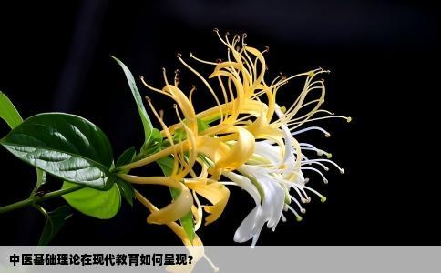 中医基础理论在现代教育如何呈现？