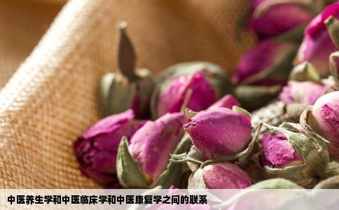 中医养生学和中医临床学和中医康复学之间的联系