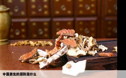 中医养生的原则是什么