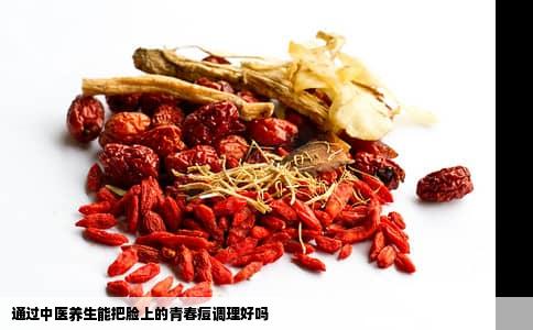 通过中医养生能把脸上的青春痘调理好吗
