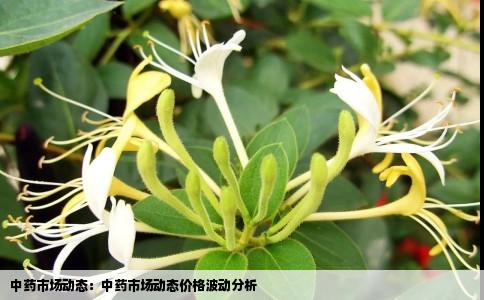 中药市场动态：中药市场动态价格波动分析