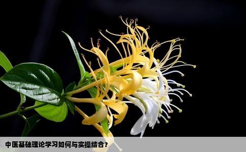 中医基础理论学习如何与实操结合？