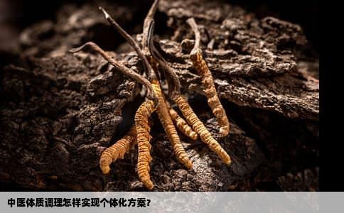 中医体质调理怎样实现个体化方案？