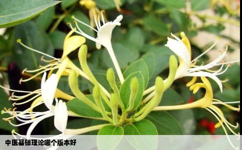 中医基础理论哪个版本好