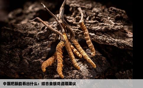 中医把脉能看出什么：结合金银花调理建议
