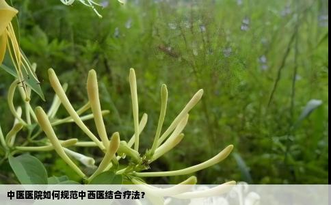 中医医院如何规范中西医结合疗法？