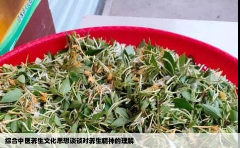 综合中医养生文化思想谈谈对养生精神的理解