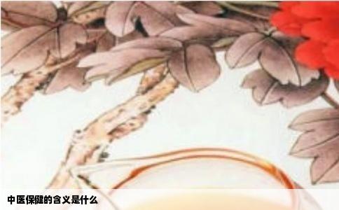 中医保健的含义是什么