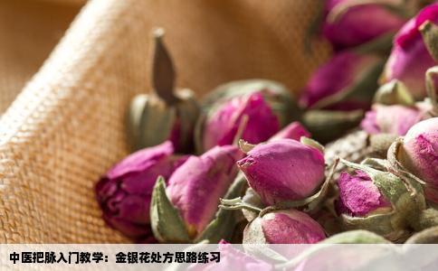 中医把脉入门教学：金银花处方思路练习
