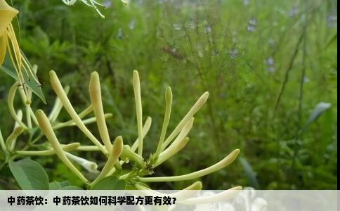 中药茶饮：中药茶饮如何科学配方更有效？