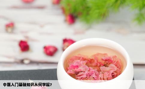 中医入门基础知识从何学起？