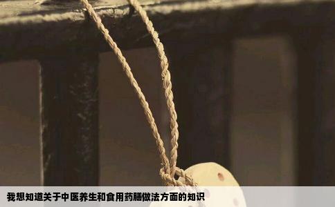 我想知道关于中医养生和食用药膳做法方面的知识