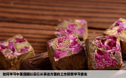 如何学习中医保健以后行从事这方面的工作和想学习养生