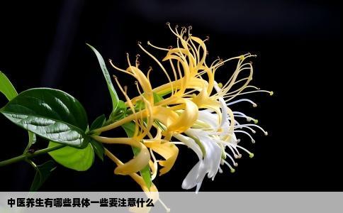 中医养生有哪些具体一些要注意什么