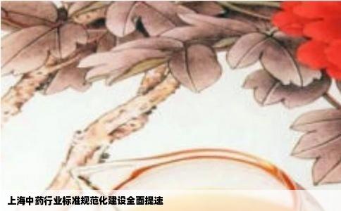 上海中药行业标准规范化建设全面提速