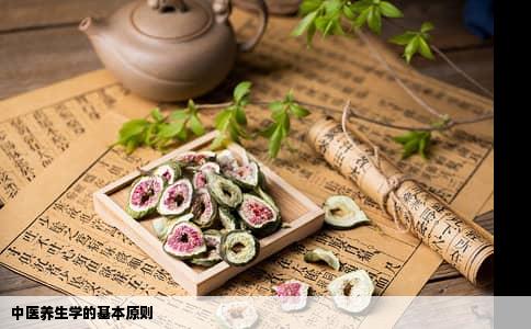 中医养生学的基本原则