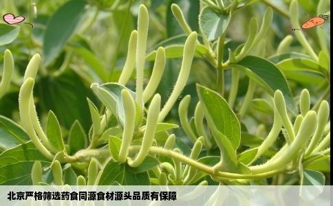 北京严格筛选药食同源食材源头品质有保障